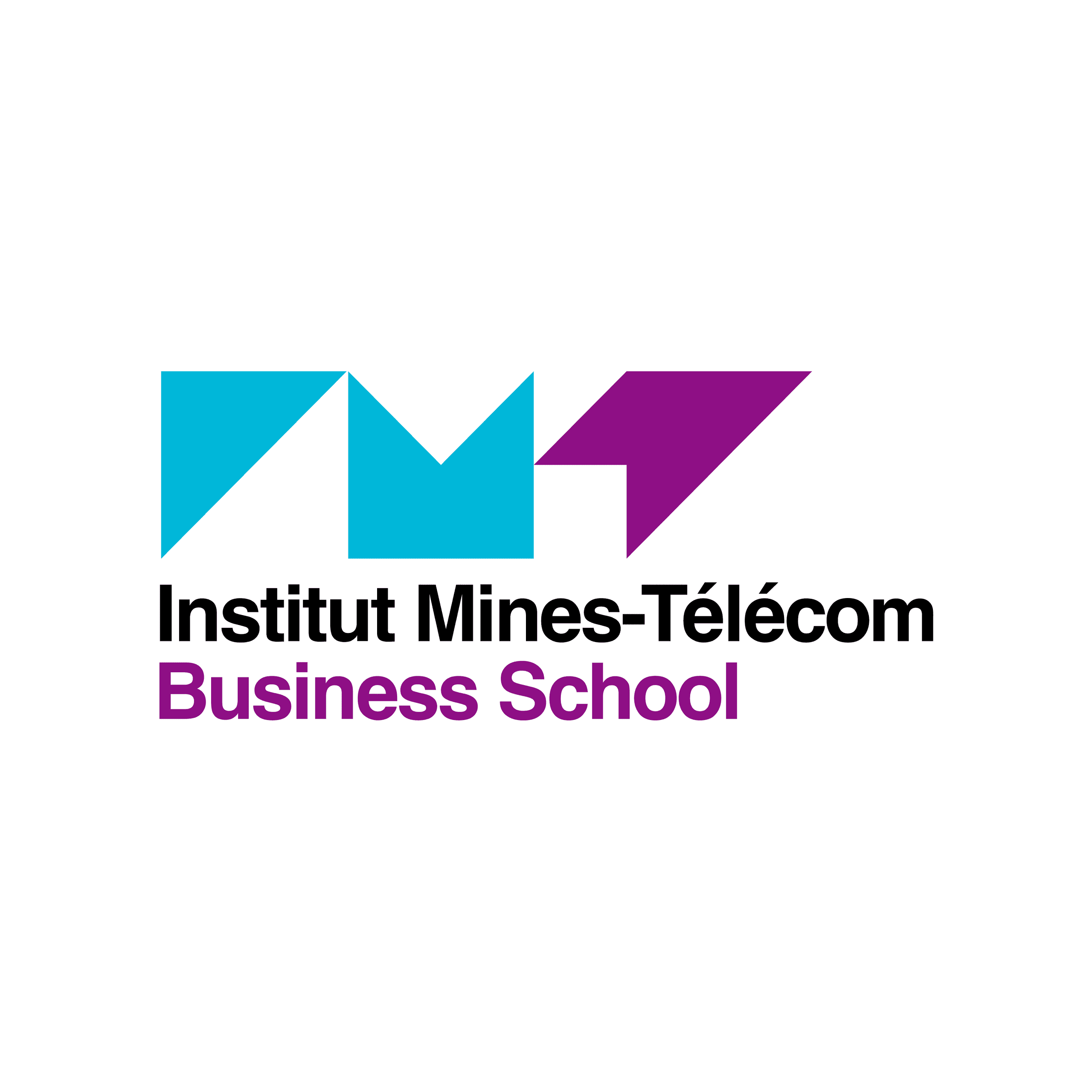 IMT - BUSINESS SCHOOL