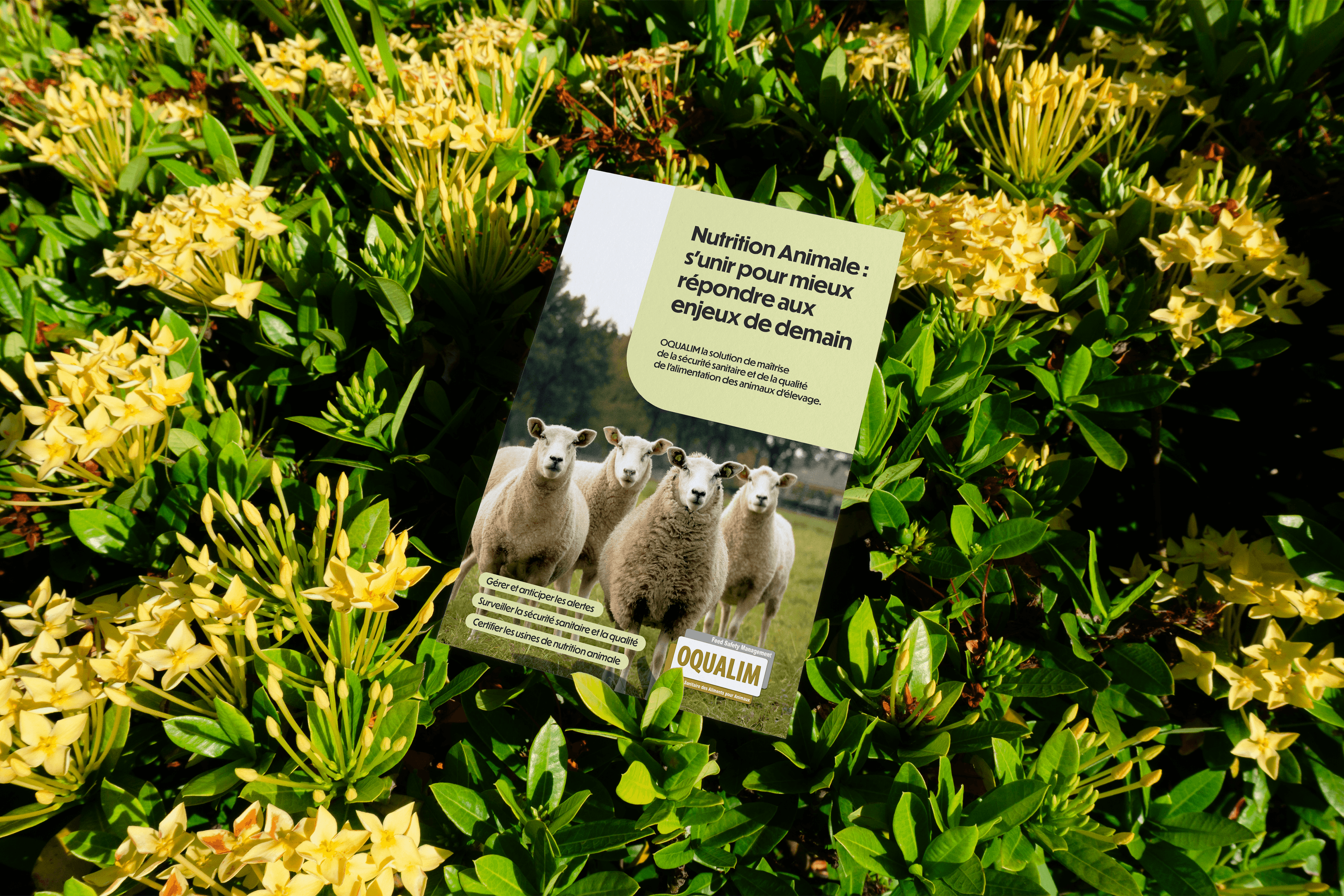 La sécurité de la nutrition animale